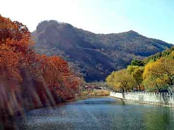 澳门天天彩期期精准平肖，河北图书批发市场